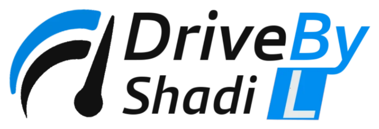 Logo Drive By Shadi